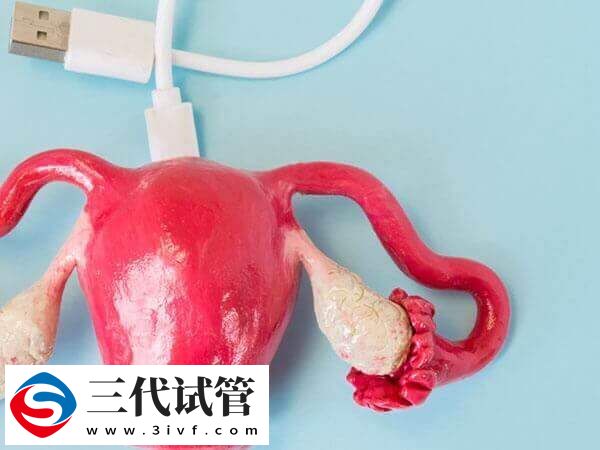 输卵管粘连对试管婴儿的影响有哪些(图1)