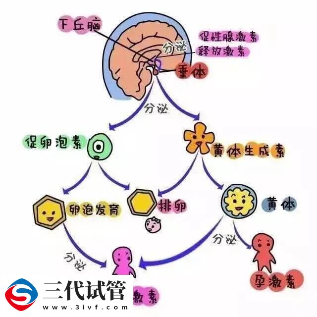 心理压力会不会导致不孕不育(图2)