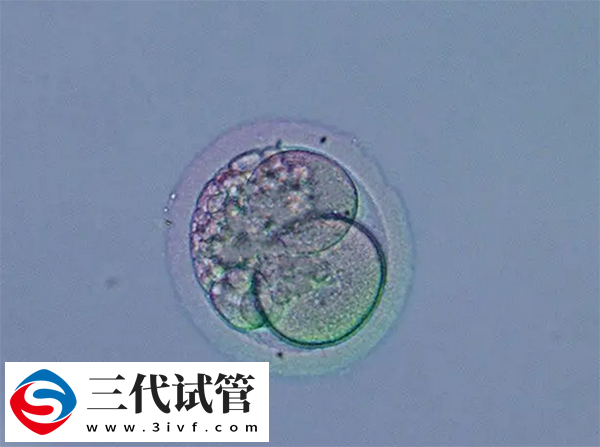 降调人工周期和人工周期的区别(图2)