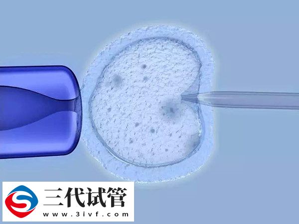试管婴儿降调的含义(图2)