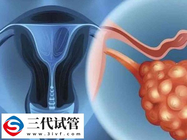 实施试管卵泡破了能不能取卵(图2)