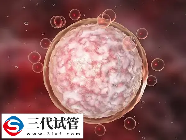实施试管卵泡破了能不能取卵(图1)