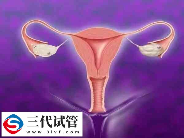 最佳取卵时间是什么时候(图3)
