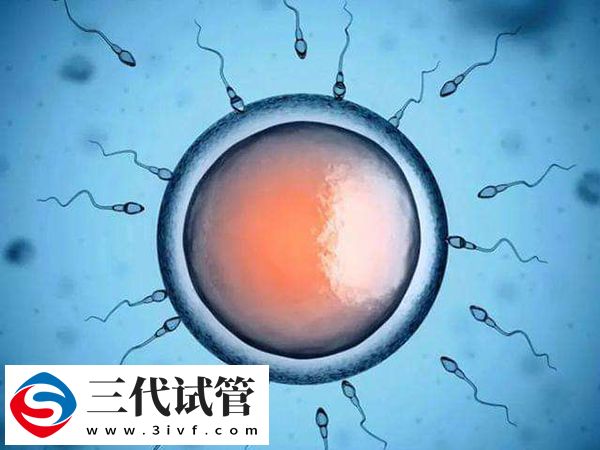 很多人选择去乌克兰做试管的原因(图2)