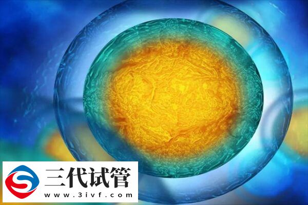 什么情况下影响胚胎着床(图1)