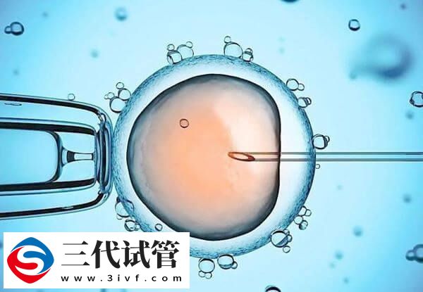 D6胚胎的质量好还是D5的好(图2)