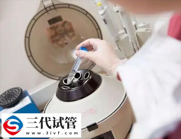 D6胚胎的质量好还是D5的好(图1)