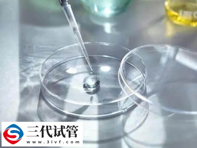 第三代试管婴儿可以移植两枚胚胎生双胞胎吗？(图1)