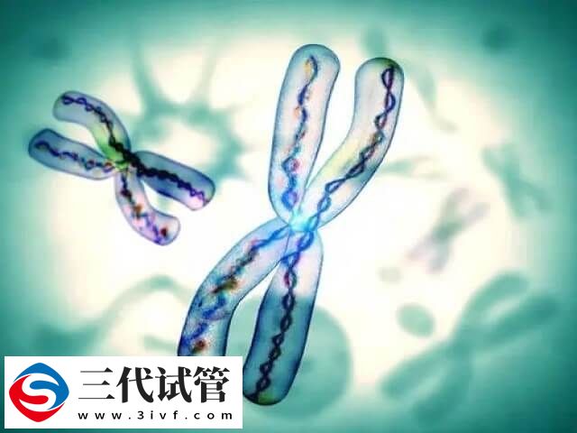 试管三代囊胚检测有没有风险(图1) 试管三代囊胚检测有没有风险(图1)
