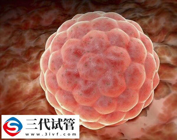 着床期间内膜厚度在多少mm才能正常受孕？(图1)