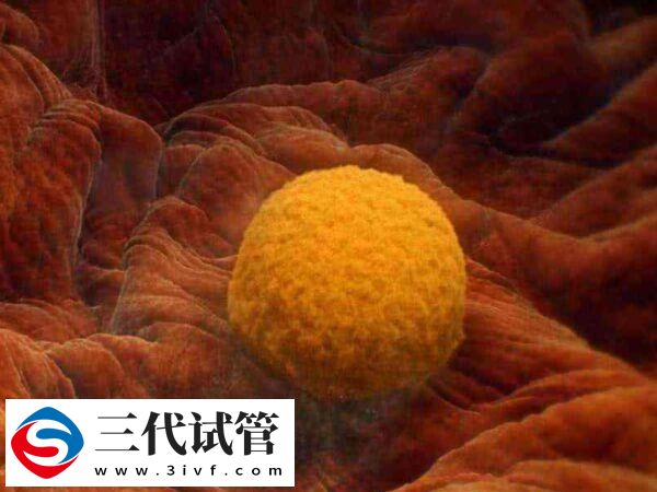 内膜14mm可以不刮宫直接移植冻胚吗？(图1)