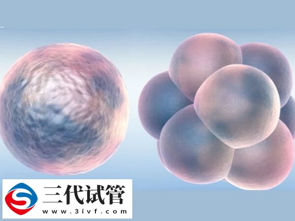 冻胚移植反复失败的原因之一是孕酮水平异常吗？(图1)