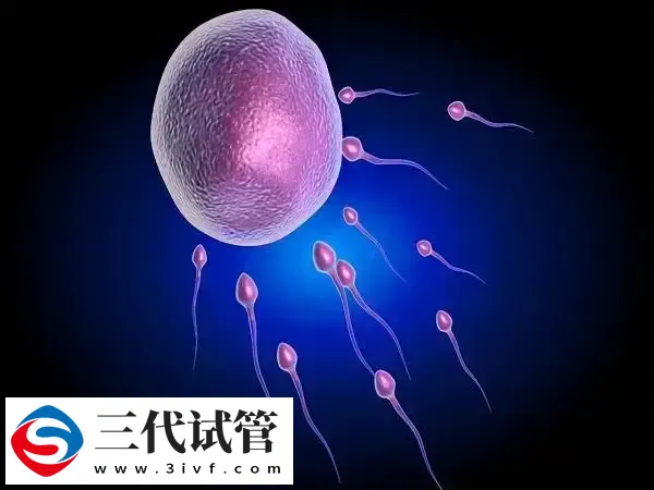 怎样促排卵成功率高一点(图1)