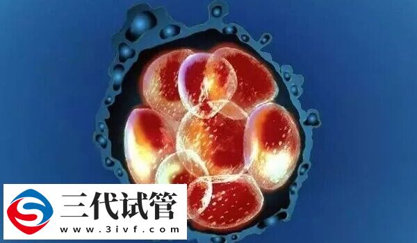 4cb囊胚是不是质量最差的(图1)
