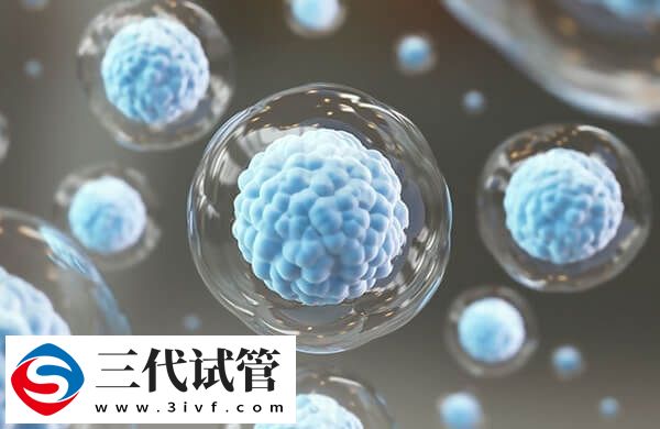 7c4胚胎移植成功率高不高(图1)