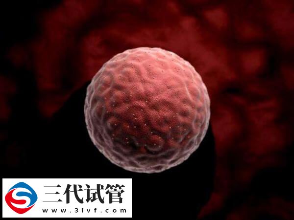 7c4胚胎移植成功率高不高(图2)