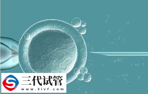 7c4胚胎移植成功率高不高(图3)