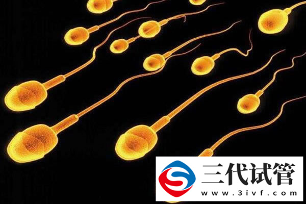 三代试管冻胚4AB和4BB的区别，发育能力和细胞分裂状态都不同(图1)