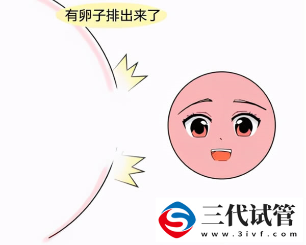 广州三代试管费用明细(图2)