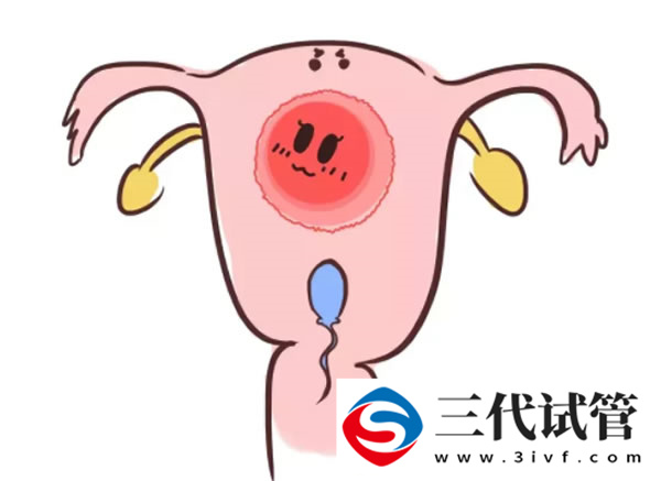 37岁高龄想生二胎，深圳做三代试管婴儿的医院有哪些(图1)