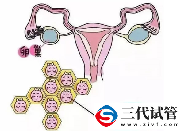 三代试管养囊几天后知道性别筛选(图2)
