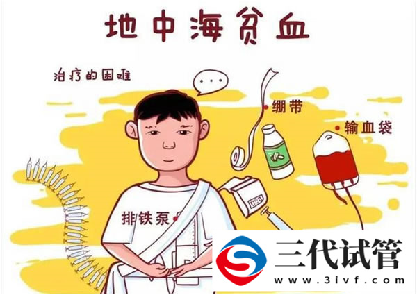 三代试管冻胚4AB和4BB的区别，发育能力和细胞分裂状态都不同(图2)