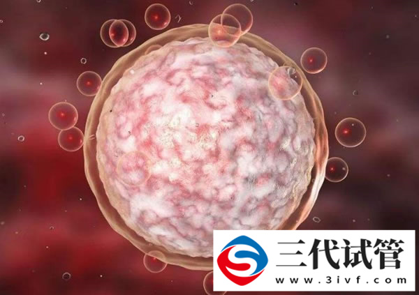 三代试管包生男孩价格贵吗？(图2)