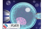 山东哪些医院可以做三代试管
