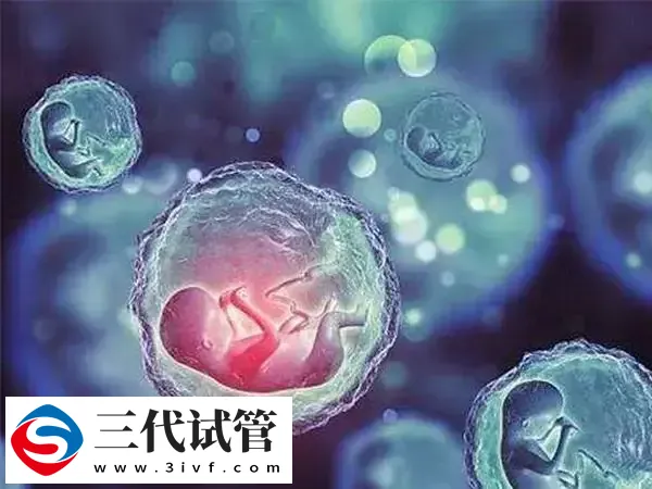 移植第七天有白色分泌物怎么回事(图1) 移植第七天有白色分泌物怎么回事(图1)