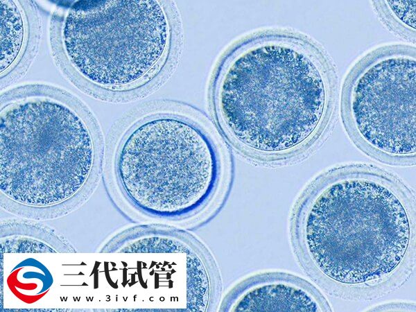 拮抗剂方案等多久移植(图1)