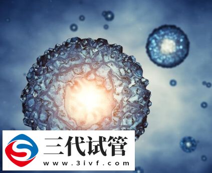 鲜胚移植的好处有哪些(图1) 鲜胚移植的好处有哪些(图1)